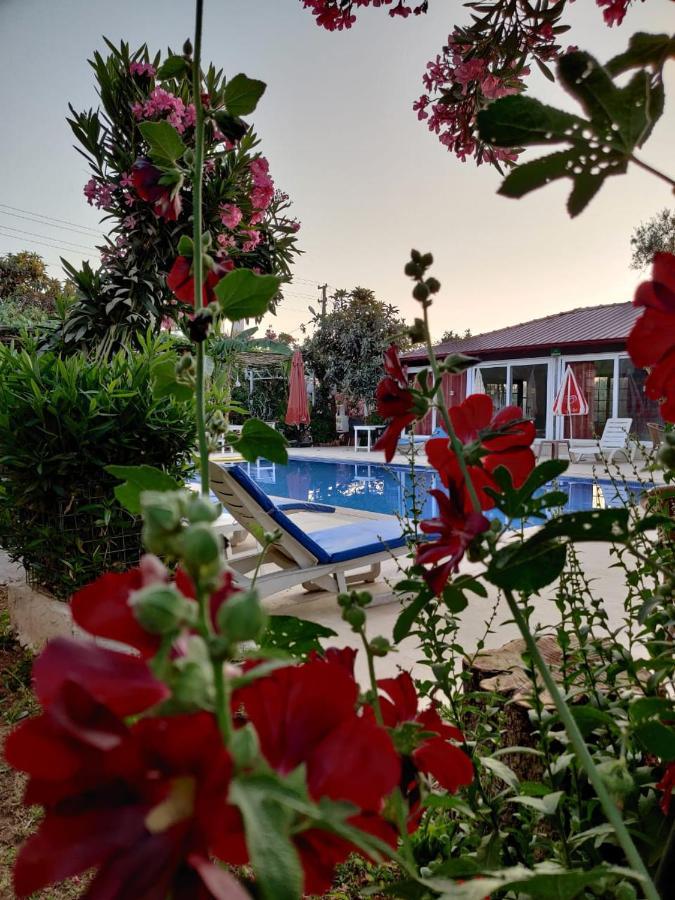 Cc'S Butik Hotel Oludeniz Exterior photo